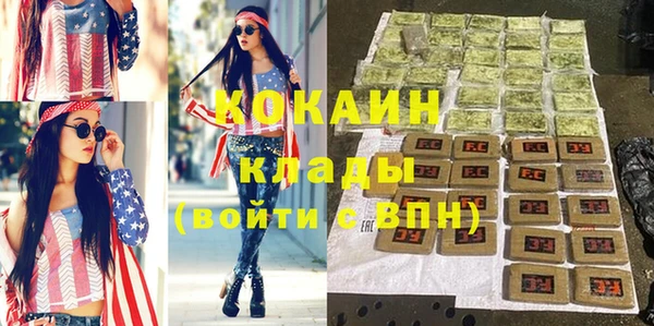 твердый Алзамай