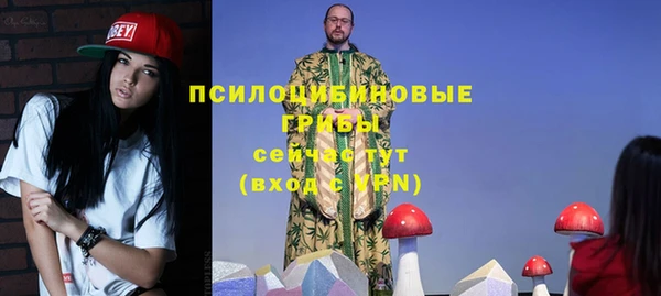 твердый Алзамай