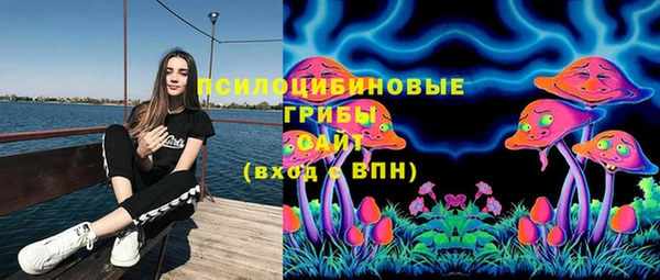 твердый Алзамай