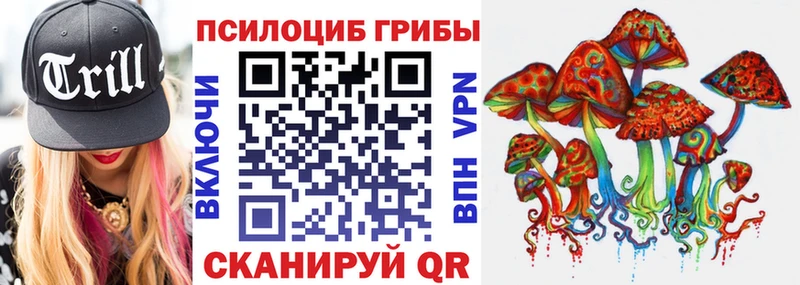 Галлюциногенные грибы Psilocybine cubensis  мега как войти  Наволоки  купить наркоту 