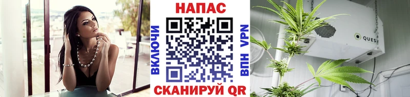гидра вход  Наволоки  Шишки марихуана OG Kush 